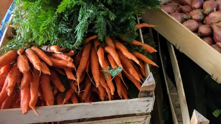 Lyon : quand l’agriculture s’invite en ville