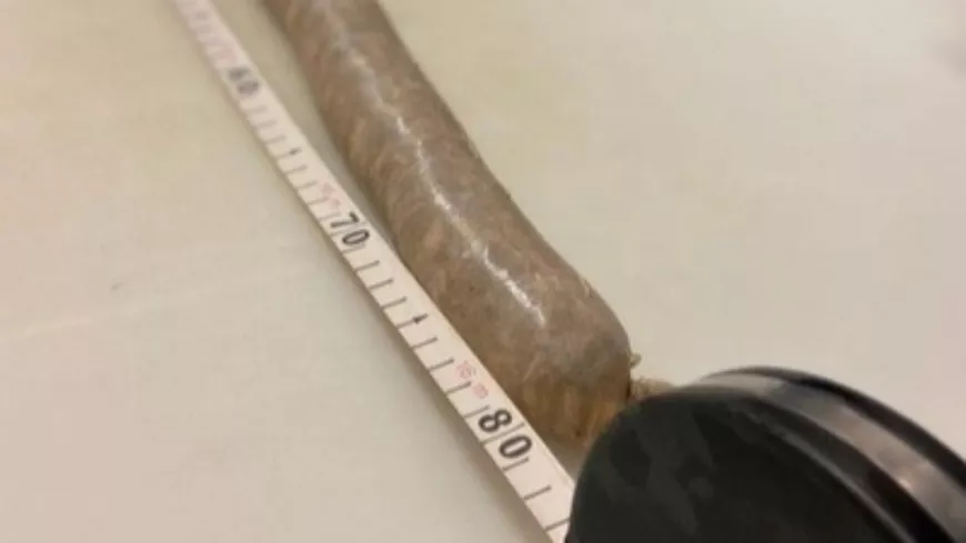 Le record du monde de la plus longue andouillette battu près de Lyon !